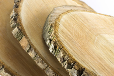 Similar image 1807954