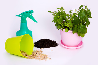 Similar image 1808221