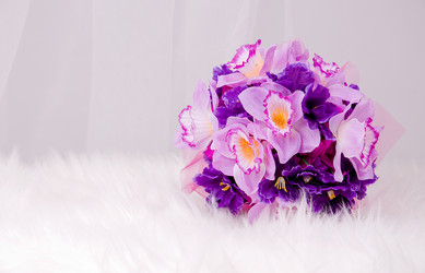 Similar image 1808225