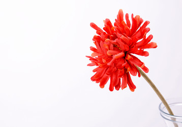 Similar image 1808444