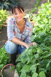 Similar image 1808500