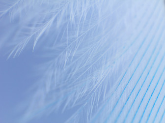 Similar image 1808523