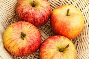 Similar image 1808532