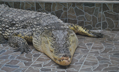 Similar image 1808543