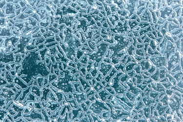 Similar image 1808564