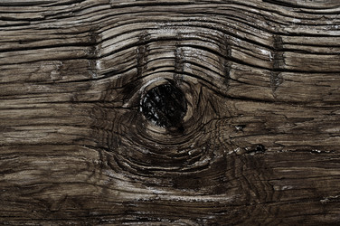 Similar image 1808673