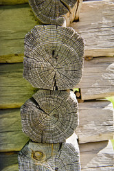 Similar image 1808691