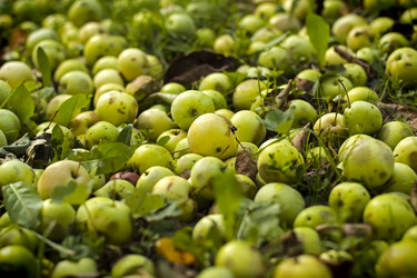 Similar image 1808702