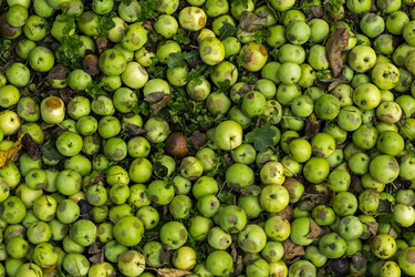 Similar image 1808703