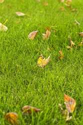 Similar image 1808705