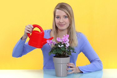 Similar image 1808720