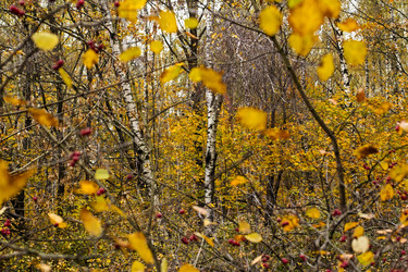 Similar image 1808732