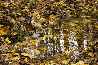 Similar image 1808734