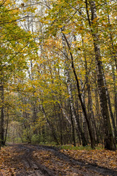 Similar image 1808735