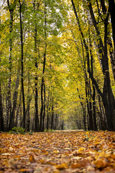 Similar image 1808736