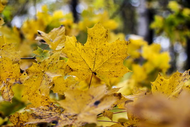 Similar image 1808739