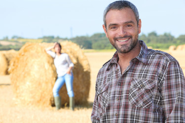 Similar image 1808767