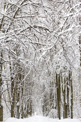 Similar image 1808791