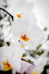 Similar image 1808795