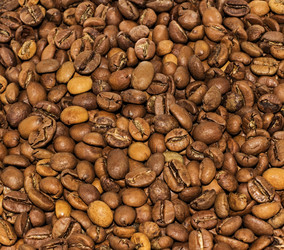 Similar image 1808798