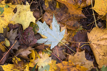 Similar image 1808805