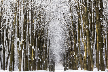 Similar image 1808840