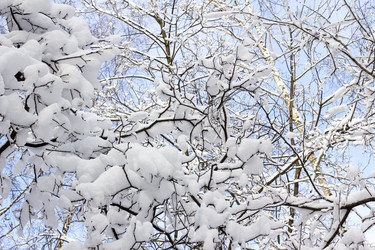 Similar image 1808842