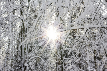 Similar image 1808882