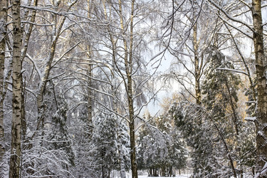 Similar image 1808883