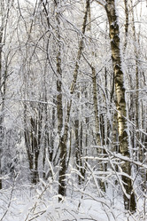 Similar image 1808885