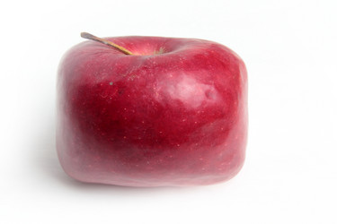 Similar image 1809224