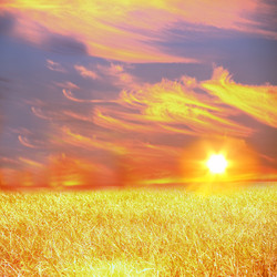 Similar image 1809315