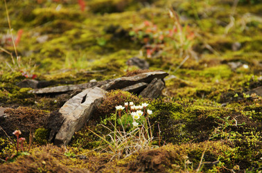 Similar image 1809359