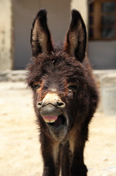 Similar image 1809363