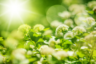 Similar image 1809649