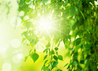 Similar image 1809650