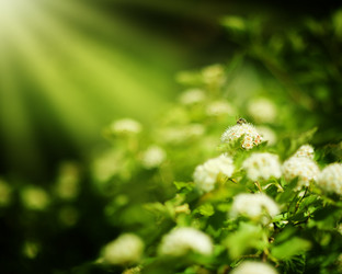 Similar image 1809651