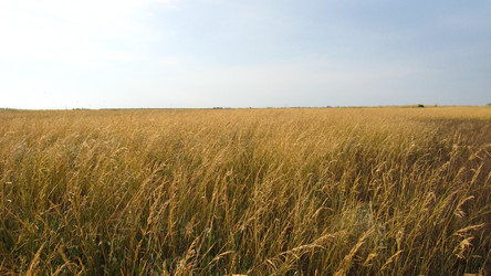 Similar image 1809659