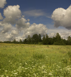 Similar image 1809691