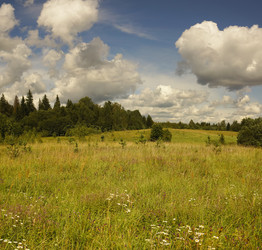 Similar image 1809692