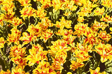 Similar image 1809718