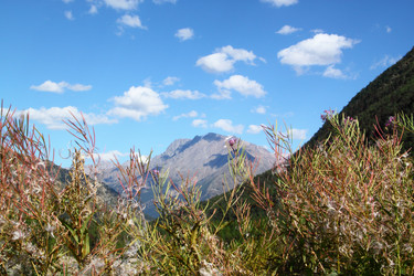 Similar image 1809732