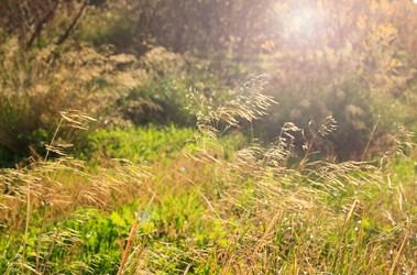 Similar image 1809887