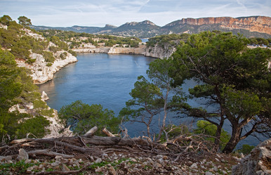 Similar image 1809893