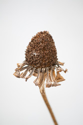 Similar image 1809937