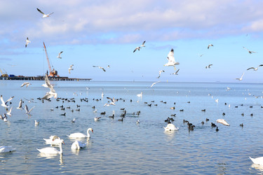 Similar image 1809953