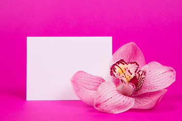 Similar image 1809980