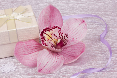 Similar image 1810009