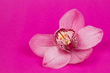 Similar image 1810012