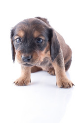 Similar image 1810026